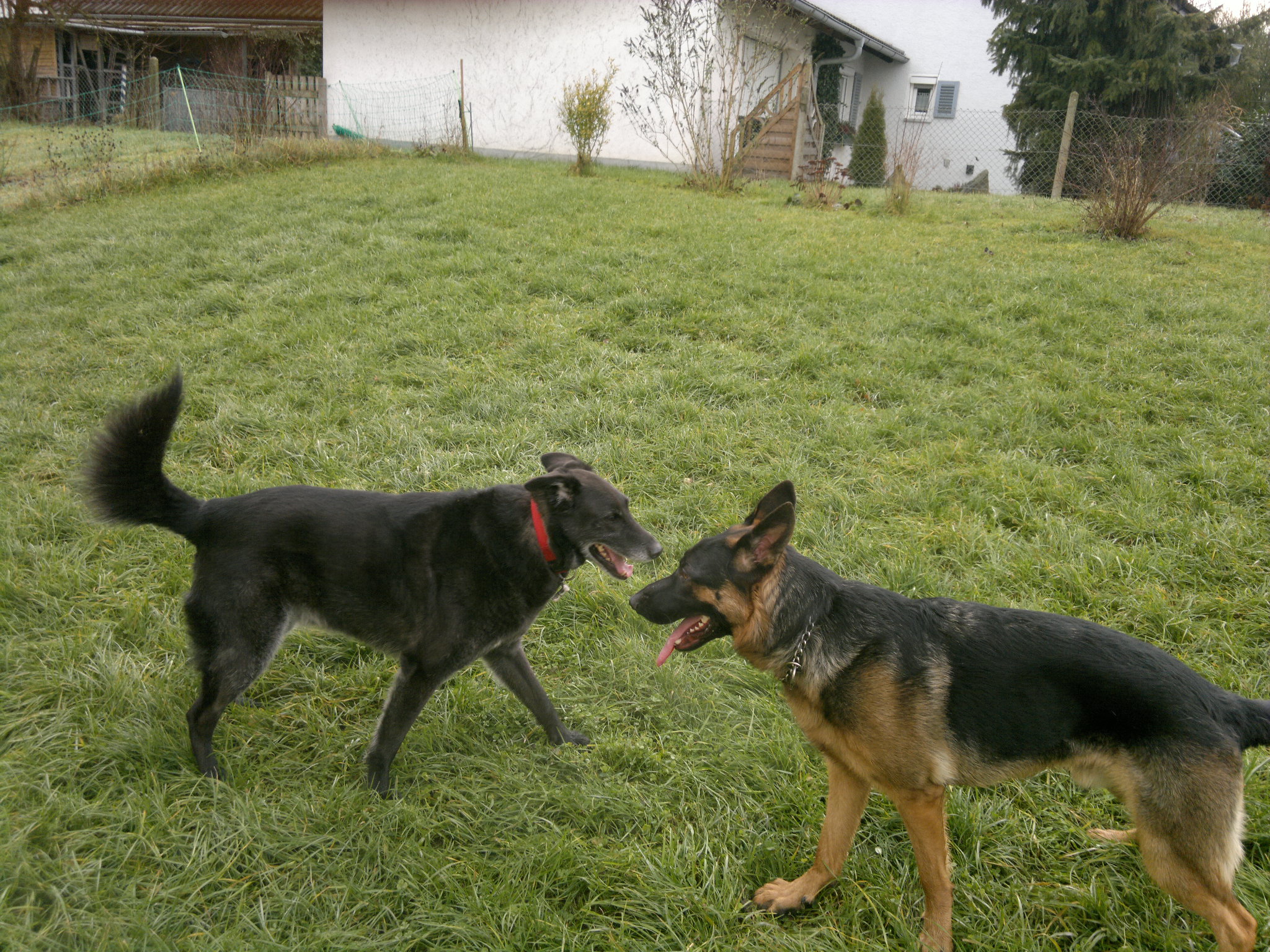 Luis und Rex.jpg (2048 x 1536)